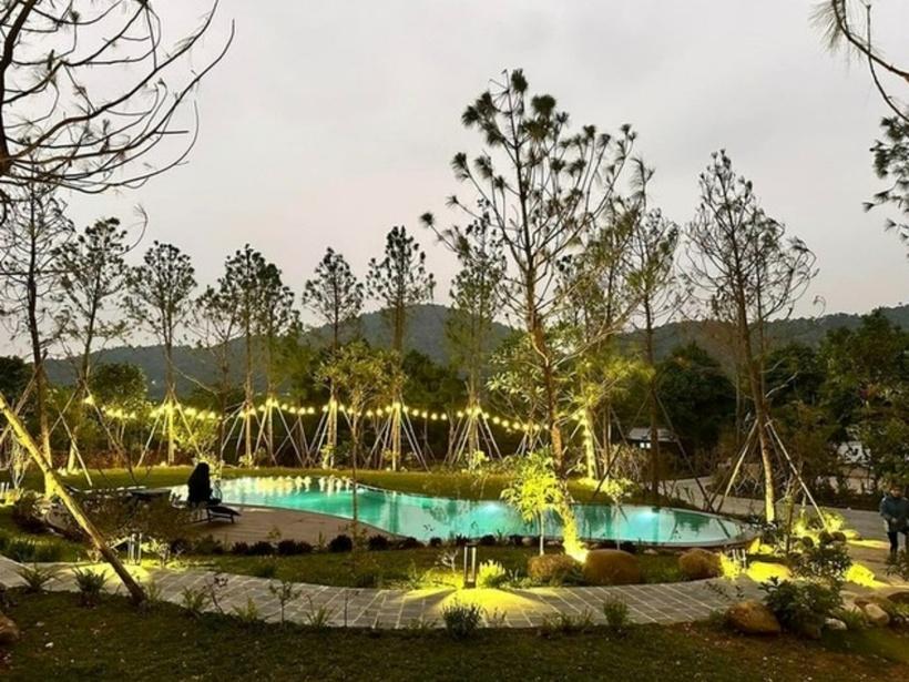 Cơ ngơi triệu đô của sao Việt: Cận cảnh nhà cổ tích trên đồi thông của ca sĩ Trọng Tấn-5