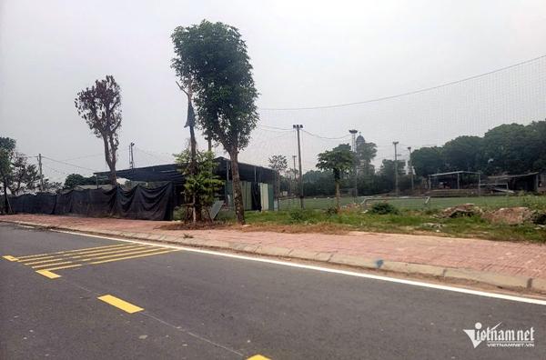 Chụp ảnh sân bóng vi phạm về đê điều, viên chức ở Hà Nội bị đánh nhập viện-1