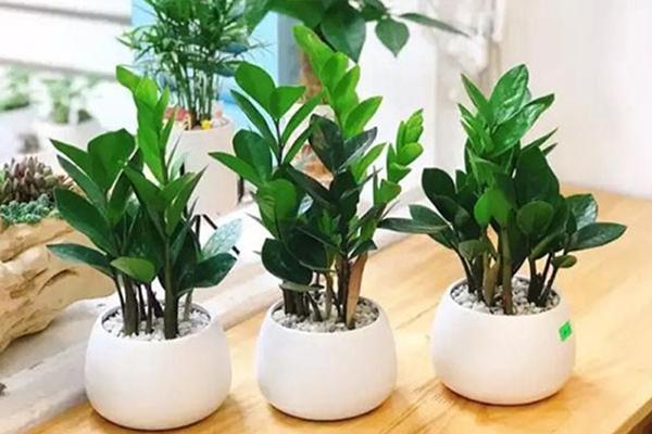 Năm 2025, bật mí những kiêng kỵ khi xông nhà tránh gặp điều xui-4