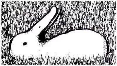 Vịt hay thỏ? Con vật bạn nhìn thấy đầu tiên sẽ tiết lộ bạn có phải là người hào phóng không?-1