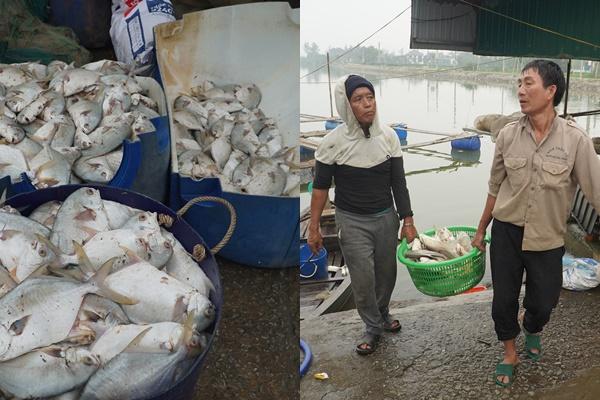 Khởi tố 10 thanh, thiếu niên mang theo dao phay rượt đuổi nhau trong đêm-3