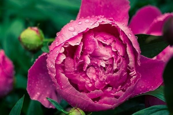 Đúng 5 ngày tới (14/12 - 18/12), 4 con giáp làm gì cũng hái ra tiền, đời sang trang mới-2