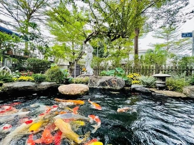 Trước khi sinh em bé thứ 2, ca sĩ Nhật Kim Anh sở hữu tài sản khủng thế nào?-8