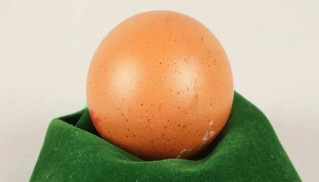 Quả trứng siêu quý hiếm được bán với giá 6 triệu đồng-1