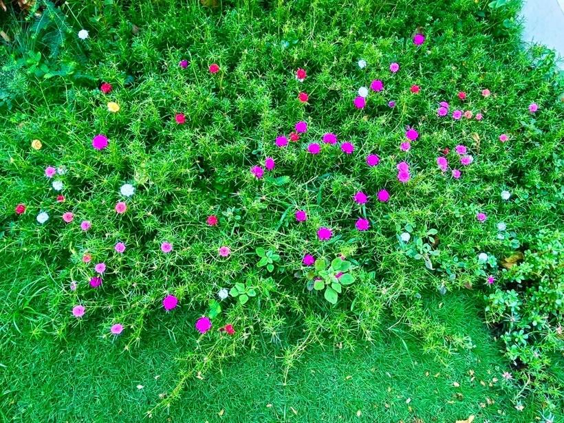 Cơ ngơi triệu đô của sao Việt: Cận cảnh bạch dinh của Thủy Tiên - Công Vinh-2