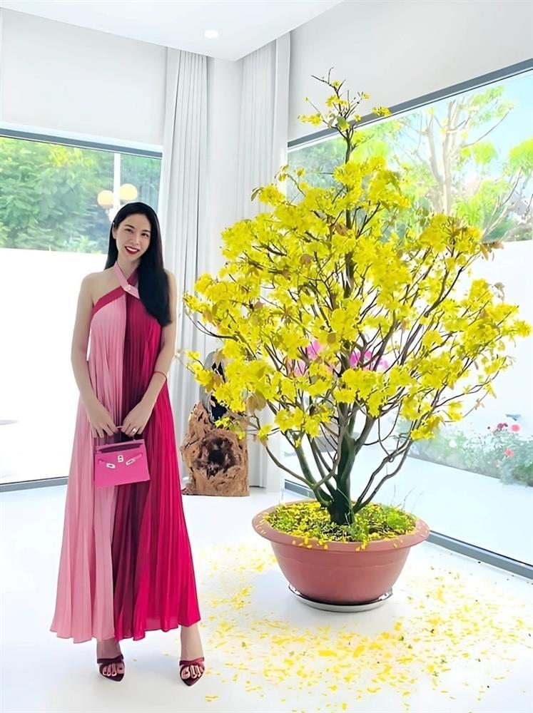 Cơ ngơi triệu đô của sao Việt: Cận cảnh bạch dinh của Thủy Tiên - Công Vinh-4