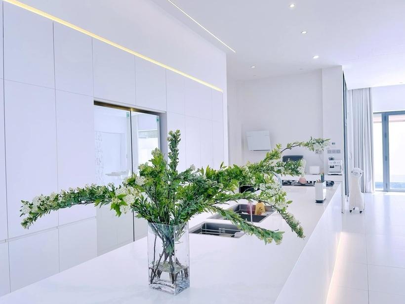 Cơ ngơi triệu đô của sao Việt: Cận cảnh bạch dinh của Thủy Tiên - Công Vinh-6