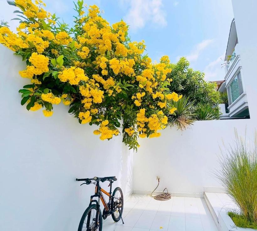 Cơ ngơi triệu đô của sao Việt: Cận cảnh bạch dinh của Thủy Tiên - Công Vinh-9