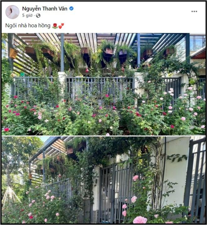 Cây thông độc đáo, thể hiện gia chủ giàu ngầm của MC Vân Hugo-6