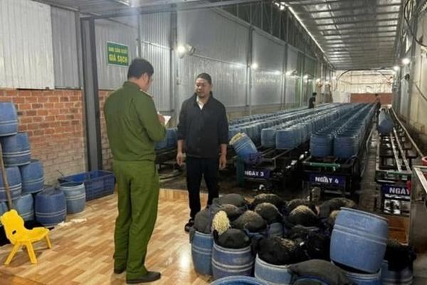 Vụ 3.000 tấn giá đỗ ngậm chất cấm, đơn vị cấp giấy chứng nhận an toàn nói gì?-4