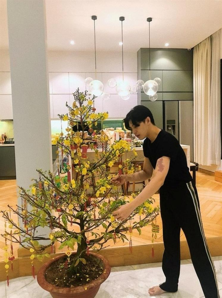 Cơ ngơi triệu đô của sao Việt: Cận cảnh biệt thự sang - xịn của Noo Phước Thịnh-9