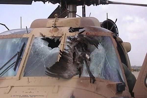 Hơn 400 triệu người bắt đầu tắm tập thể-1