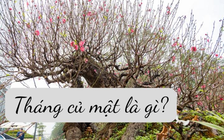 Vì sao tháng 12 Âm lịch được gọi là tháng củ mật?-1