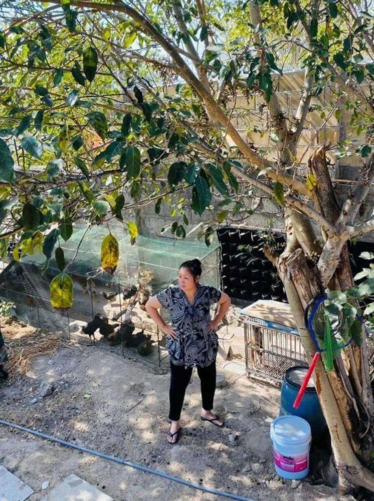 Cơ ngơi triệu đô của sao Việt: Cận cảnh gia trang của vợ chồng Hồng Vân-4