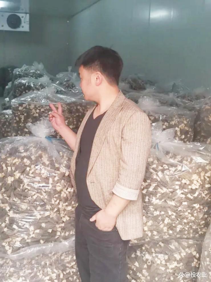 Bán thứ từng chỉ cho lợn ăn mà thành triệu phú-3