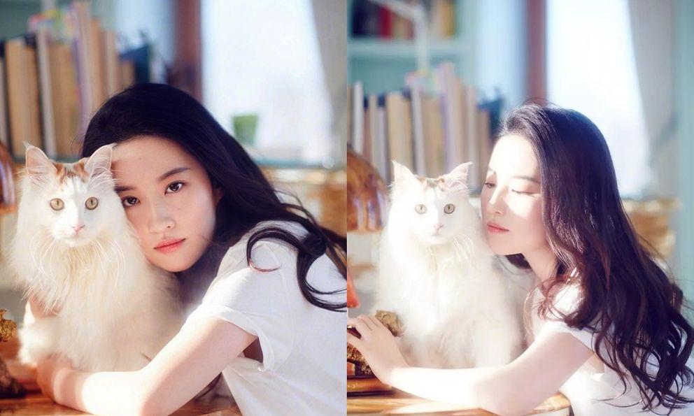 Chuyên gia khuyên ai muốn sống thọ và cải thiện tuần hoàn máu: Hãy học theo 4 thói quen của loài mèo-1