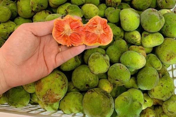 Lý do không nên ăn cháo thường xuyên-2