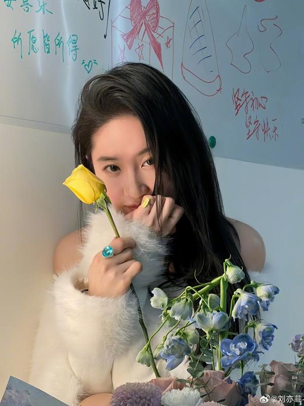 Lưu Diệc Phi bị bóc mẽ chỉnh sửa nhan sắc quá lố trong loạt ảnh mừng năm mới-4