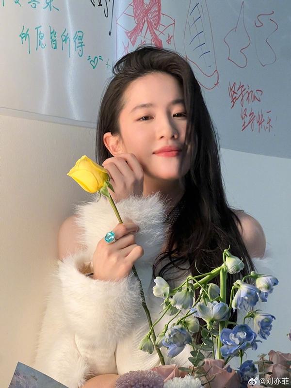 Lưu Diệc Phi bị bóc mẽ chỉnh sửa nhan sắc quá lố trong loạt ảnh mừng năm mới-5