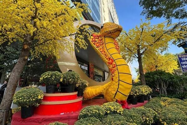 Hoa lê rừng hàng chục triệu đồng ‘đổ bộ’, phục vụ người Thủ đô chơi Tết-1