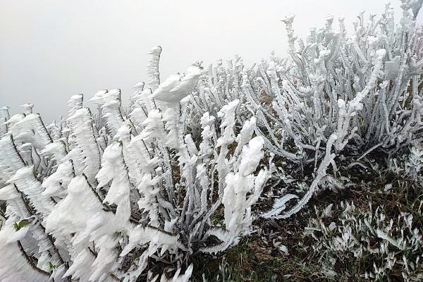 Dự báo thời tiết ngày mai 11/1/2025: Không khí lạnh vẫn tăng cường, có nơi dưới 3 độ-1