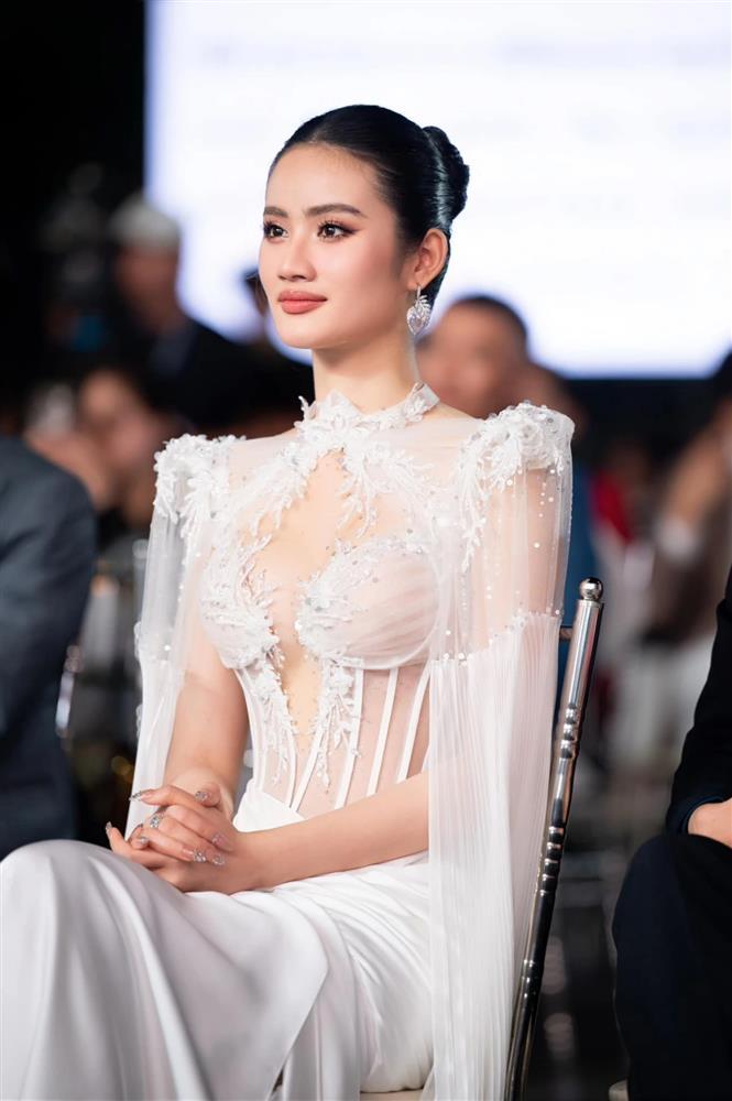 Nhan sắc 3 hoa hậu chinh chiến đấu trường quốc tế năm 2025-6