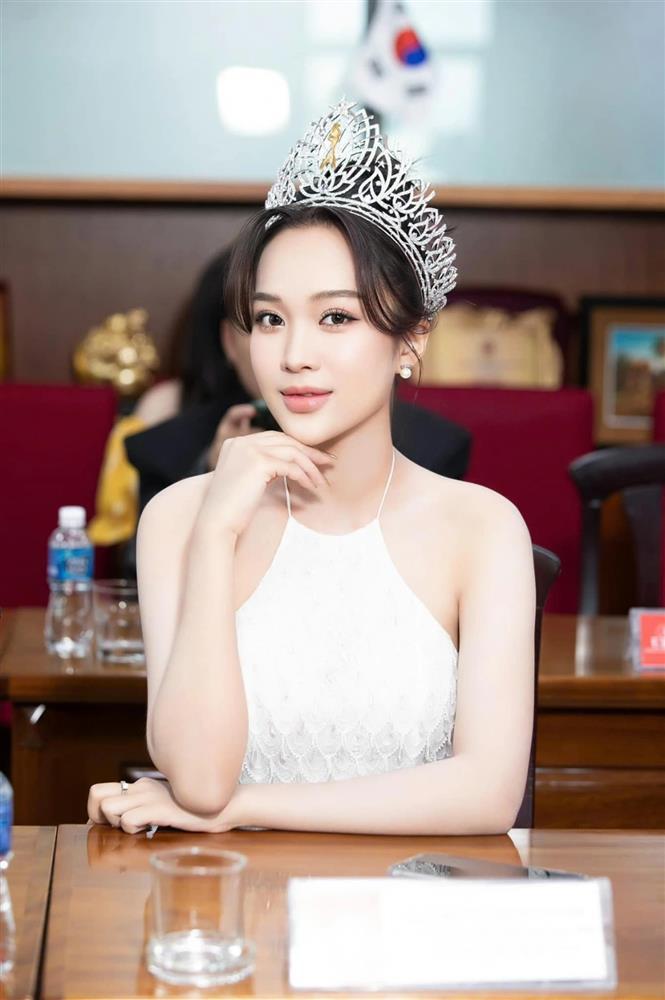 Nhan sắc 3 hoa hậu chinh chiến đấu trường quốc tế năm 2025-8