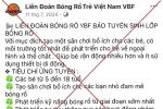 Đăng ký khóa học bóng rổ cho con trên mạng, người phụ nữ bị lừa hơn 1 tỷ đồng