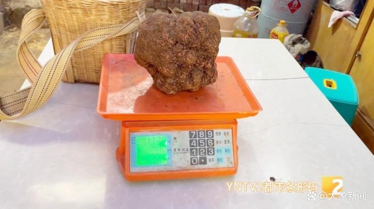 Đào được cục đất đen đúa xấu xí, hóa ra là thứ đắt như vàng-2